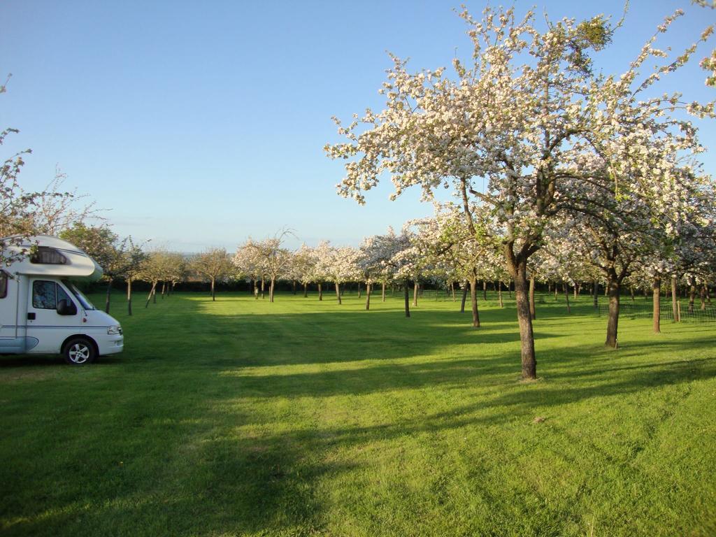 Orchard Farm Luxury Glamping Villa Glastonbury Exterior photo